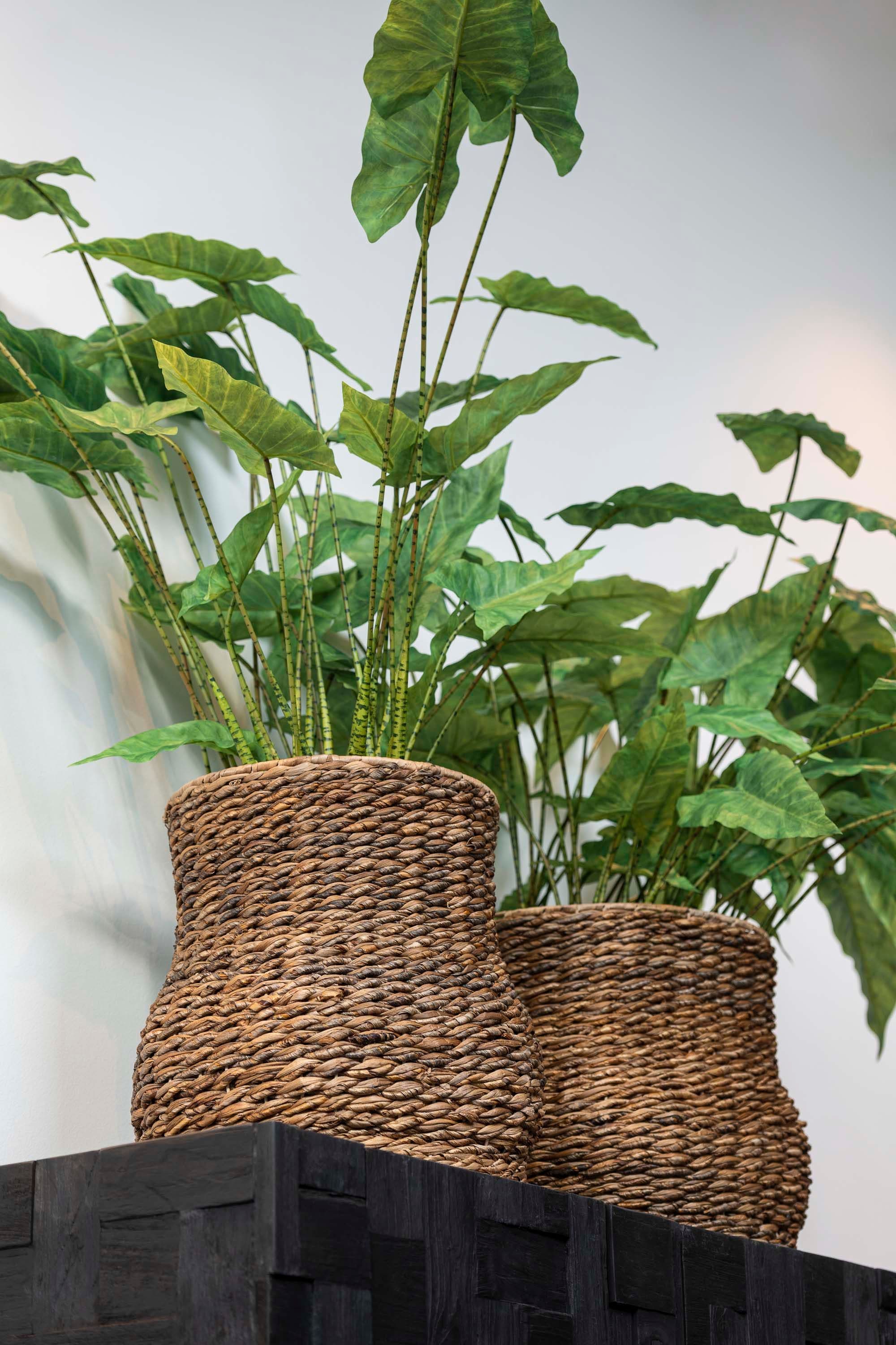 Gommaire-decoration-abaca-accessories-pumkin_basket-G706S-G706L-ABA-Antwerp.jpg
